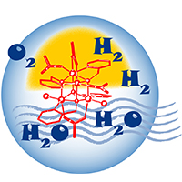 URPP LightChCE - Research Priority Program LightChEC - Solar Light to Chemical Energy Conversion of UZH