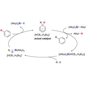 Catalytic cycle of the arenium-ion-promoted halodealkylation