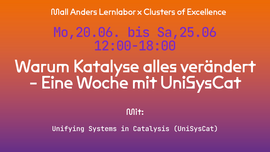 UniSysCat week in Mall Anders
