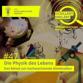 episode 47: The physics of life: The mystery of regrowing limbs
