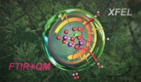 XFEL, FTIR+QM illustration