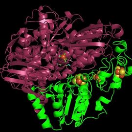 Computer simulation of the enzyme hydrogenase by the group of Maria Andrea Mroginski.