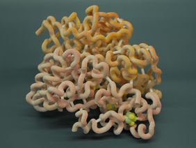 Model of hydrogenase