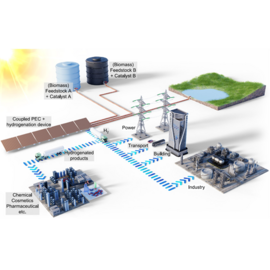 Illustration of the solar-driven coupled photoelectrochemical and hydrogenation plant