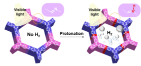 How protonation activates a COF catalyst