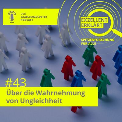 episode 43: On the perception of inequality
