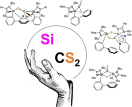 Activation of carbon disulfide