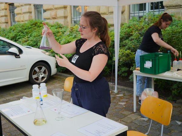 Explaining the blue bottle experiment