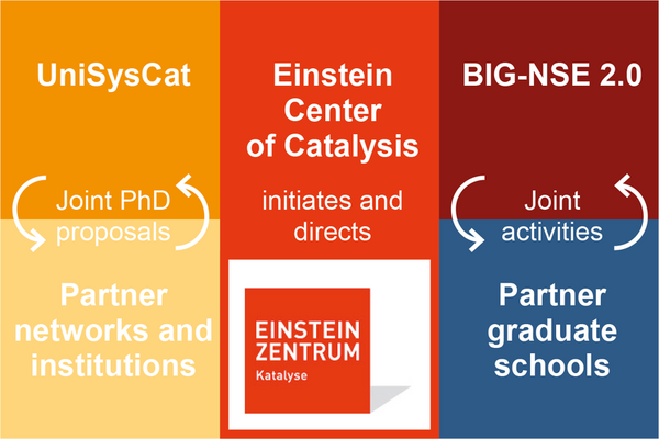 Education in EC2/BIG-NSE