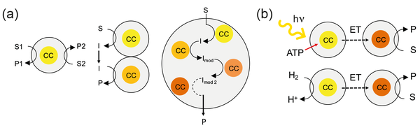 Research Unit B