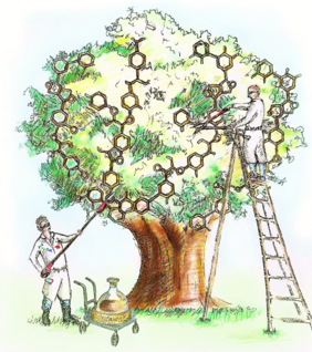 Valorization of lignin. © Alaa Al-Naji/BasCat – UniCat BASF JointLab.