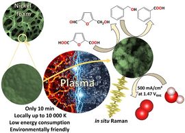 New superior electrode material: plasma-modified nickel foam