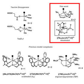 Structure of the enzyme TauD-J