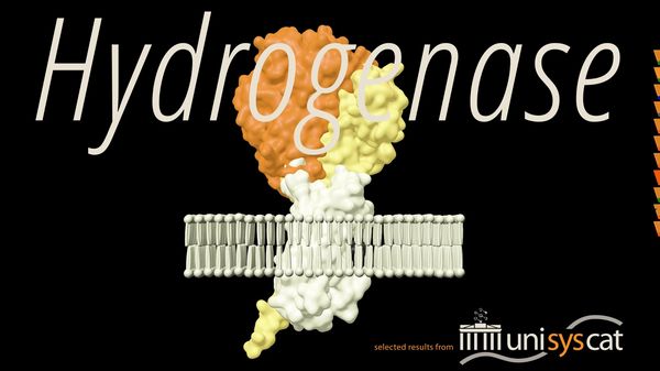 Video: A hydrogenase in action