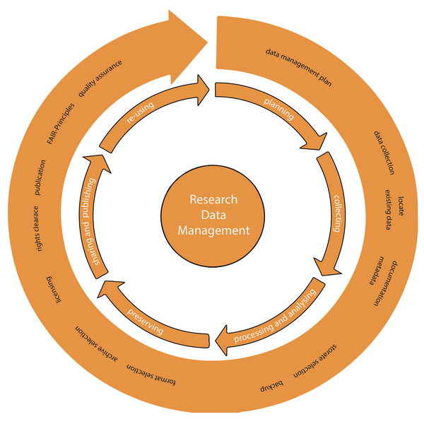 Lifecycle