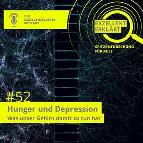 episode 52: Hunger and depression - what our brain has to do with it