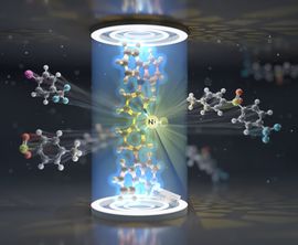A team of six UniSysCat groups discovered a promising recyclable catalyst for cross-couplings by combining a nickel catalyst and a photocatalyst in a single material. 