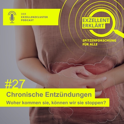 Episode 27: Chronic inlammations © exzellent erklärt